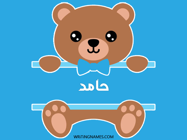 إسم حامد مكتوب على صور دبدوب مزخرف بالعربي