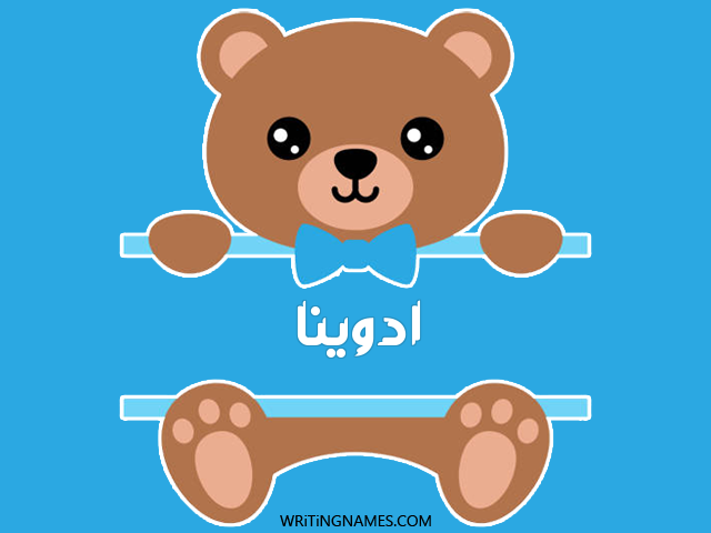 إسم ادوينا مكتوب على صور دبدوب مزخرف بالعربي