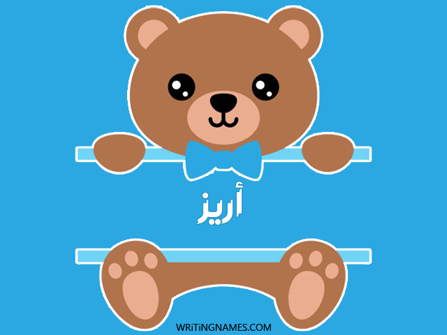 إسم اريز مكتوب على صور دبدوب مزخرف بالعربي
