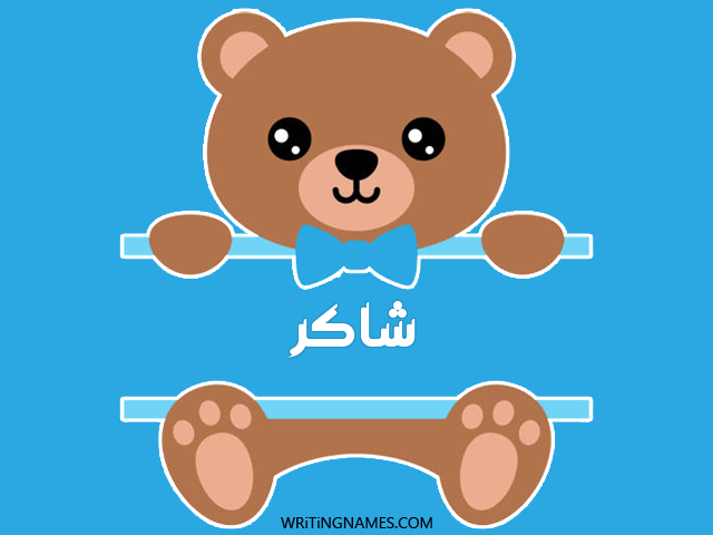 إسم شاكر مكتوب على صور دبدوب مزخرف بالعربي