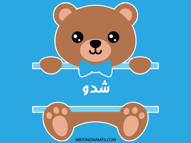 إسم شدو مكتوب على صور دبدوب مزخرف بالعربي