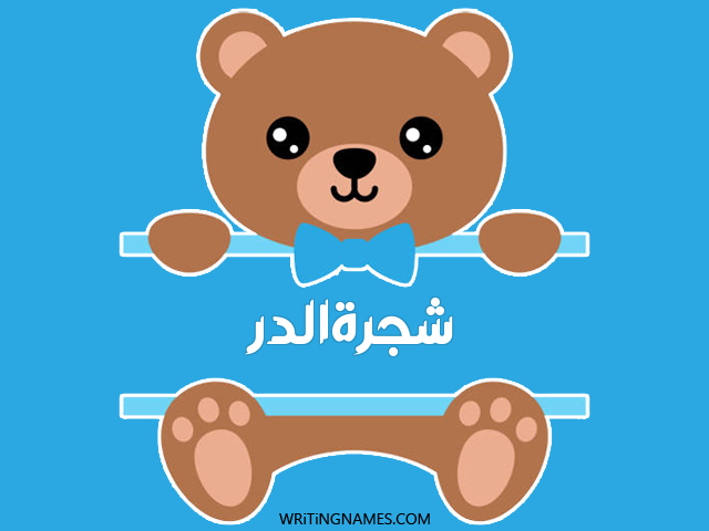 إسم شجرةالدر مكتوب على صور دبدوب مزخرف بالعربي