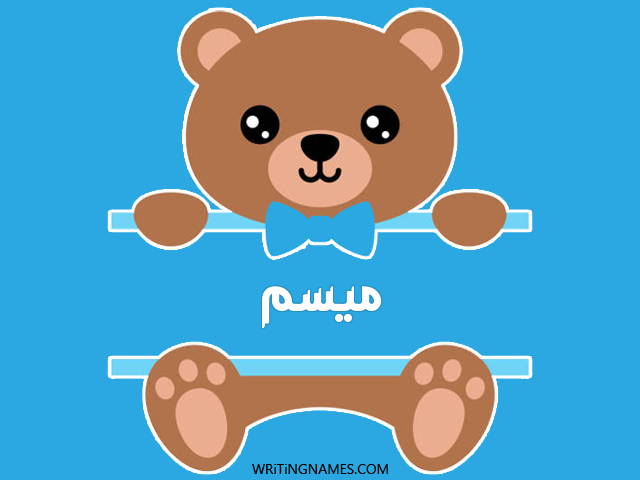 إسم ميسم مكتوب على صور دبدوب مزخرف بالعربي