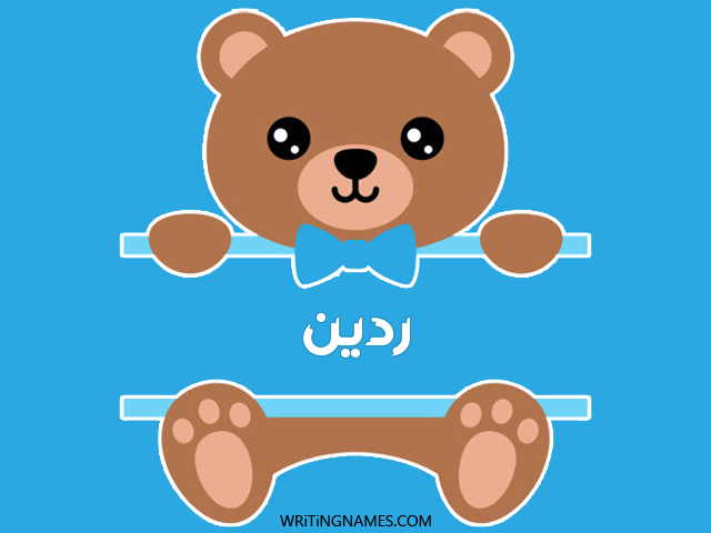 إسم ردين مكتوب على صور دبدوب مزخرف بالعربي