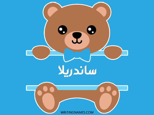 إسم ساندريلا مكتوب على صور دبدوب مزخرف بالعربي