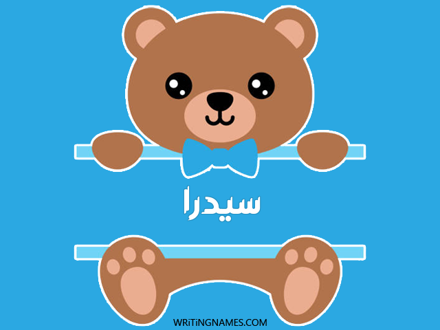 إسم سيدرا مكتوب على صور دبدوب مزخرف بالعربي