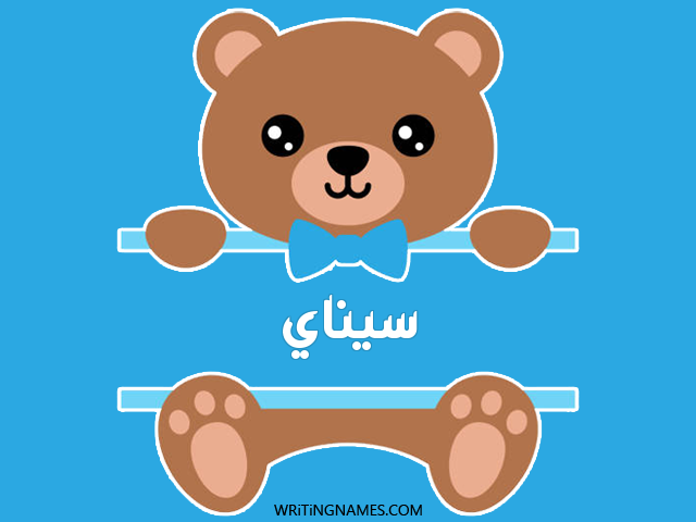 إسم سيناي مكتوب على صور دبدوب مزخرف بالعربي