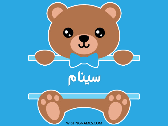 إسم سينام مكتوب على صور دبدوب مزخرف بالعربي