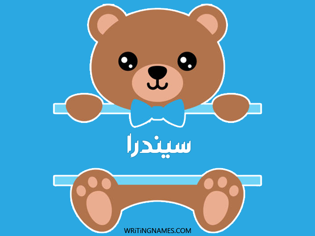 إسم سيندرا مكتوب على صور دبدوب مزخرف بالعربي