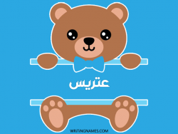 إسم عتريس مكتوب على صور دبدوب بالعربي