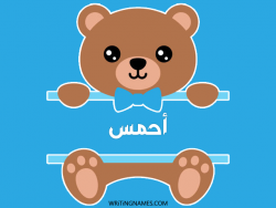 إسم أحمس مكتوب على صور دبدوب بالعربي