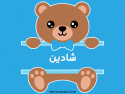 إسم شادين مكتوب على صور دبدوب مزخرف بالعربي