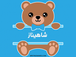 إسم شاهيناز مكتوب على صور دبدوب بالعربي