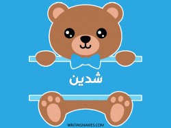 إسم شدين مكتوب على صور دبدوب مزخرف بالعربي
