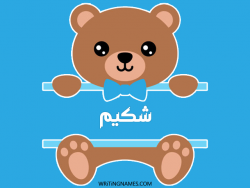 إسم شكيم مكتوب على صور دبدوب بالعربي