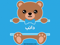 إسم دائب مكتوب على صور دبدوب بالعربي