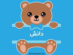 إسم دانش مكتوب على صور دبدوب مزخرف بالعربي