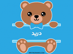 إسم دريد مكتوب على صور دبدوب مزخرف بالعربي