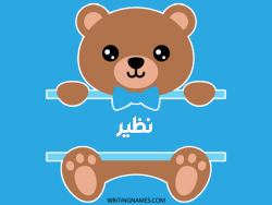 إسم نضير مكتوب على صور دبدوب بالعربي