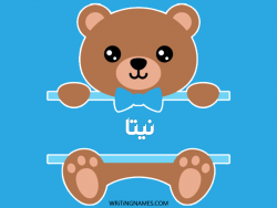 إسم نيتا مكتوب على صور دبدوب بالعربي