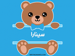 إسم سينارا مكتوب على صور دبدوب بالعربي