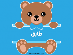 إسم طارق مكتوب على صور دبدوب بالعربي