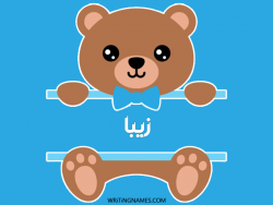 إسم زيبا مكتوب على صور دبدوب بالعربي