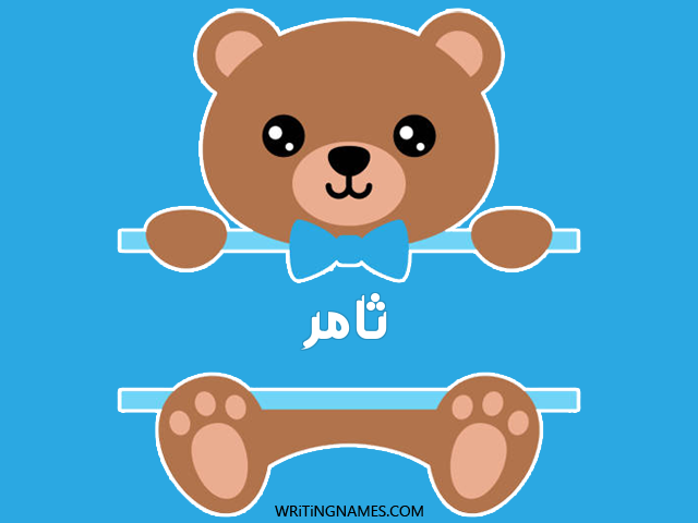 إسم تامر مكتوب على صور دبدوب مزخرف بالعربي
