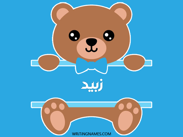 إسم زبيد مكتوب على صور دبدوب مزخرف بالعربي